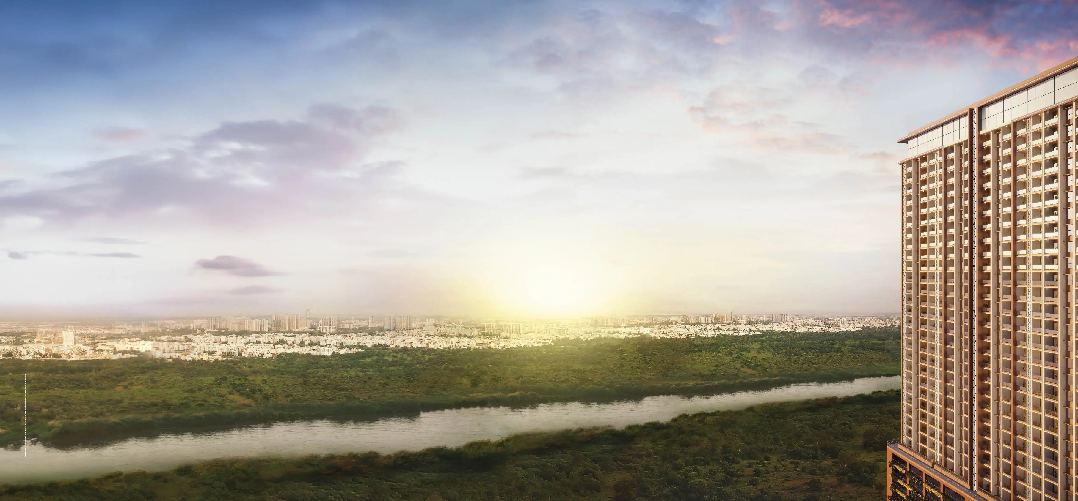 banner_bg